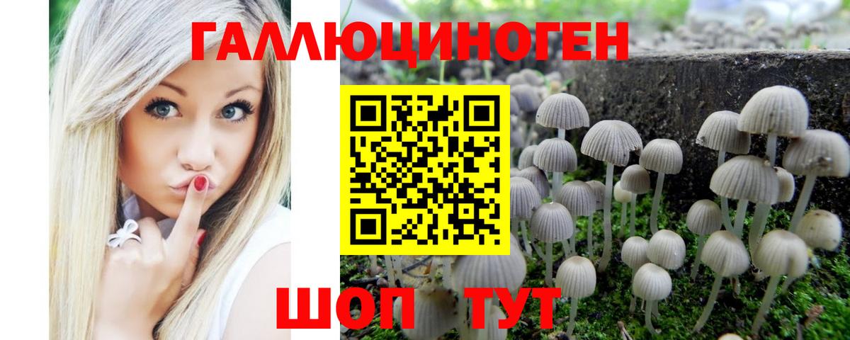 Псилоцибиновые грибы прущие грибы  магазин  наркотиков  Фрязино  Псилоцибиновые грибы Magic Shrooms  Вход с VPN 